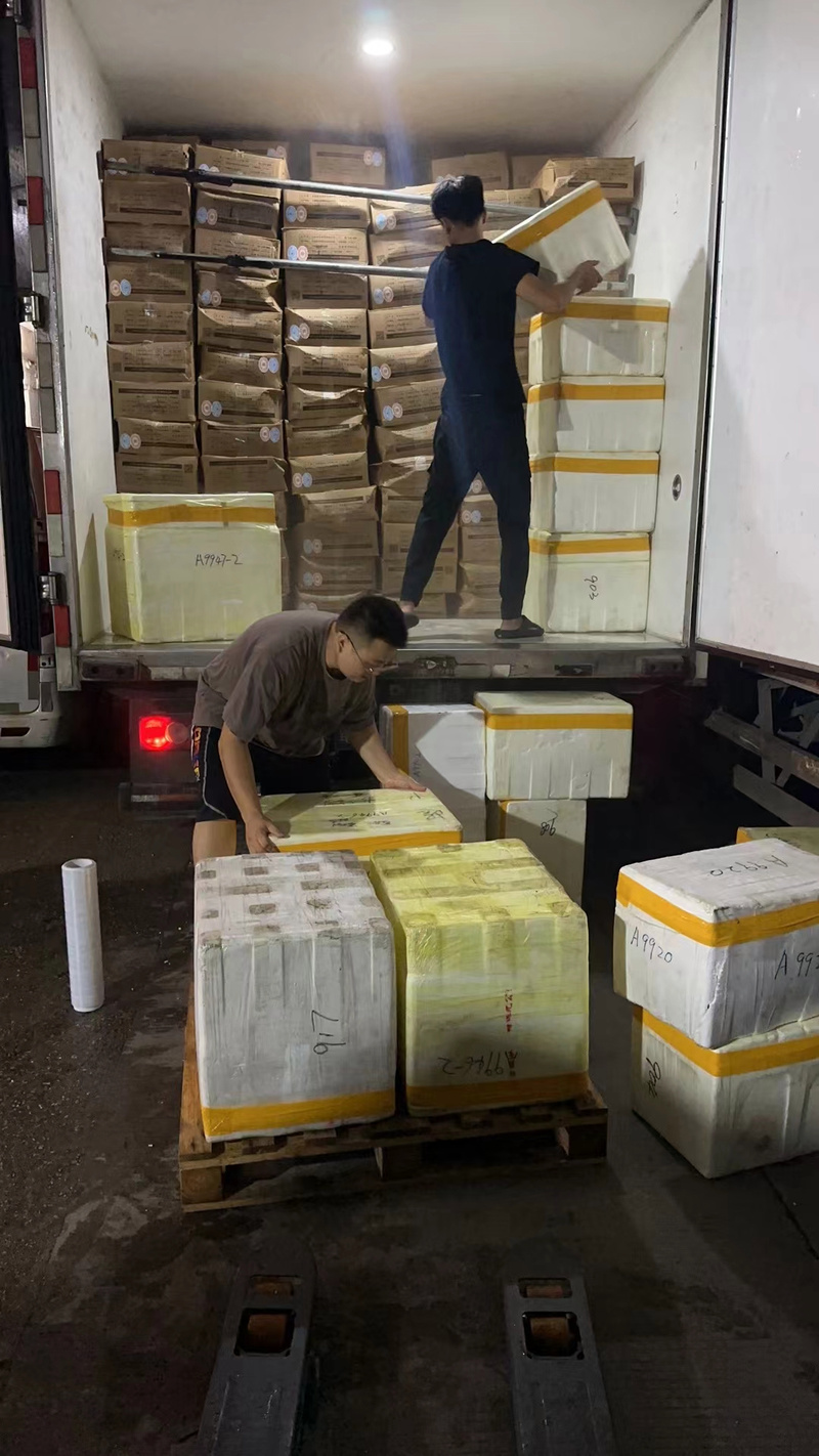 中港澳物流香港仓储服务 连接内地与港澳的供应链核心枢纽